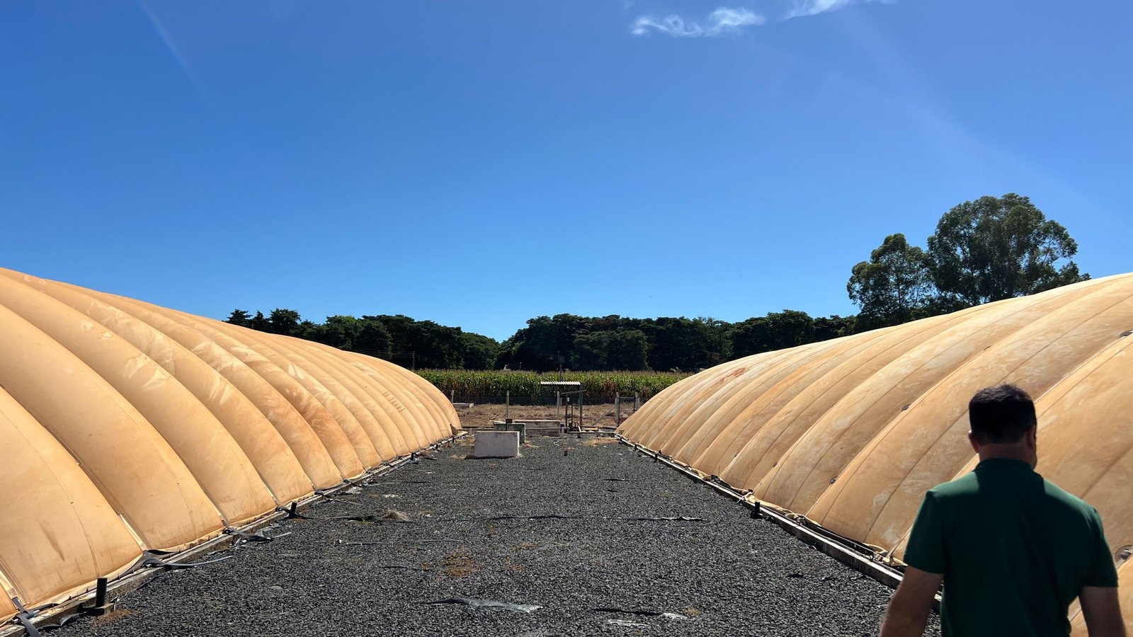 Energia Elétrica e Térmica