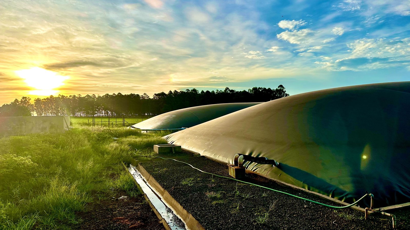 Processamento de Resíduos