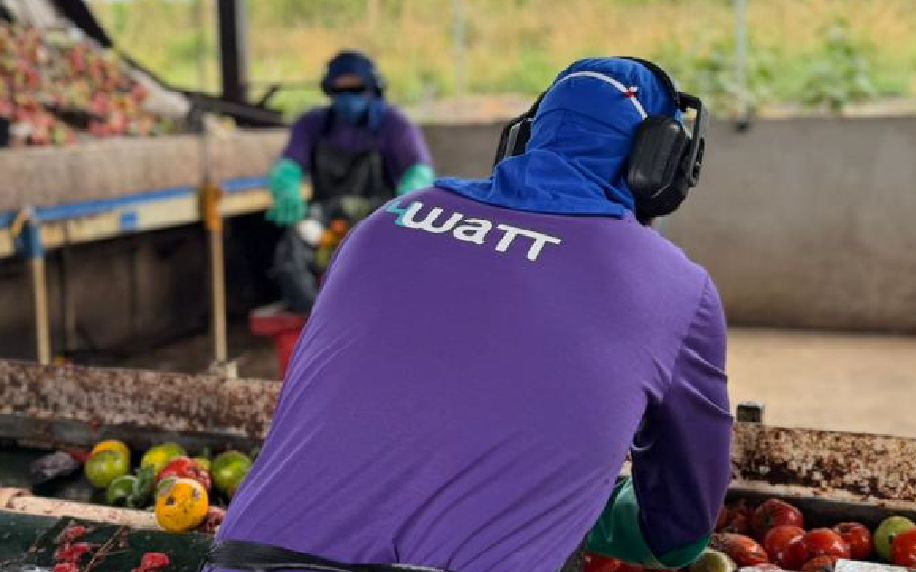 Equipe da 4WaTT com uniforme e EPI executando a triagem de resíduos orgânicos na esteira